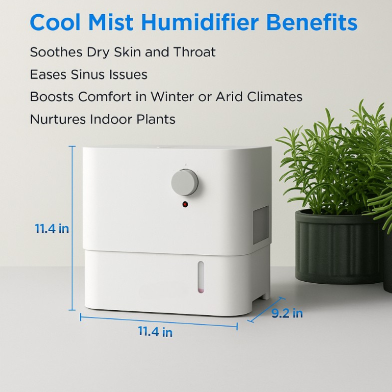 1 Gallon Cool Mist Humidifier With Top Fill Essential Oil Compartment