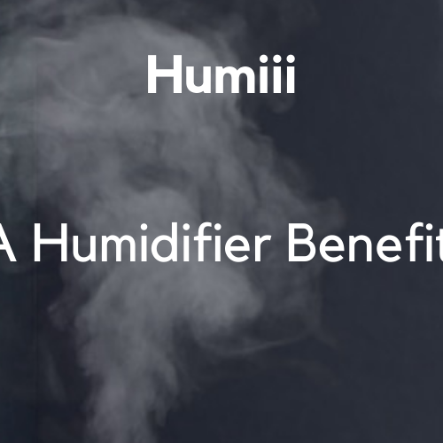 How Can A Humidifier Benefit Your Home!