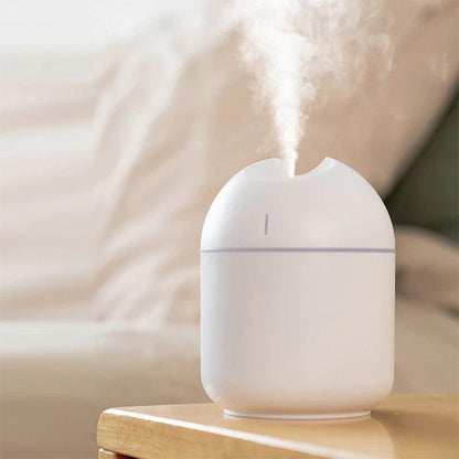 Mini USB Air Humidifier With 250 ML Tank And Low Noise