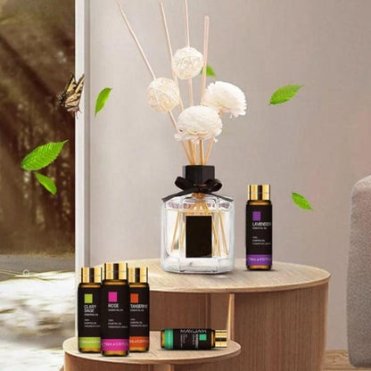10-Piece Essential Oil for Humidifier