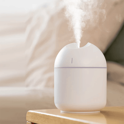 Aroma Essential Oil Diffuser With Portable Ultrasonic Humidifier